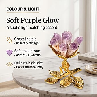 https://tjcuk.sirv.com/Products/84/2/8426257/8426257_1.jpg?w=342&h=342