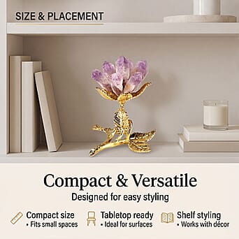 https://tjcuk.sirv.com/Products/84/2/8426257/8426257_3.jpg?w=342&h=342