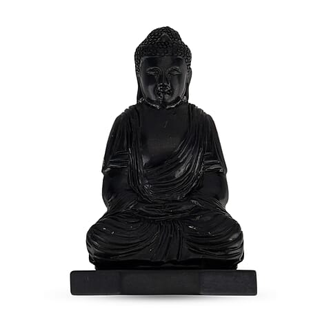 Natural Shungite Buddha Carving 733.00Ct