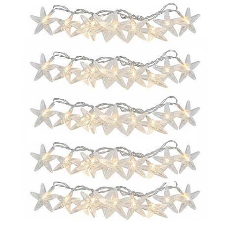 Pack of 5 Warm LED Light Chain (100Cm) - White