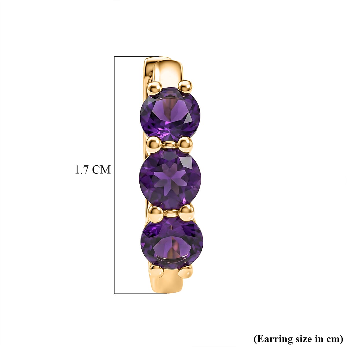 D'Joy AAA African Amethyst Full Hoop Earring in Yellow Gold Plated Sterling Silver 1.44 Ct.