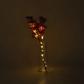https://tjcuk.sirv.com/Products/84/7/8477105/Night-Light-Size-One-Size-Red-Green_8477105_1.jpg?w=342&h=342