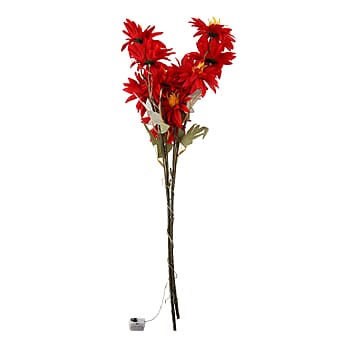 https://tjcuk.sirv.com/Products/84/7/8477105/Night-Light-Size-One-Size-Red-Green_8477105_2.jpg?w=342&h=342