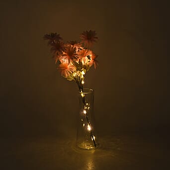 https://tjcuk.sirv.com/Products/84/7/8477106/Night-Light-Size-One-Size-Pink-Green_8477106_1.jpg?w=342&h=342