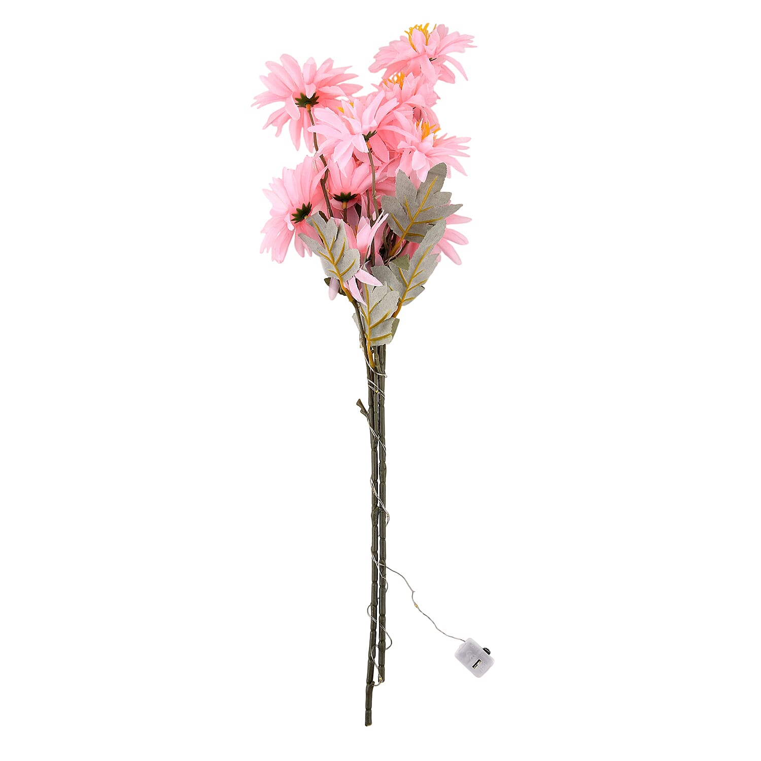 Night Light (Size - One Size) - Pink & Green