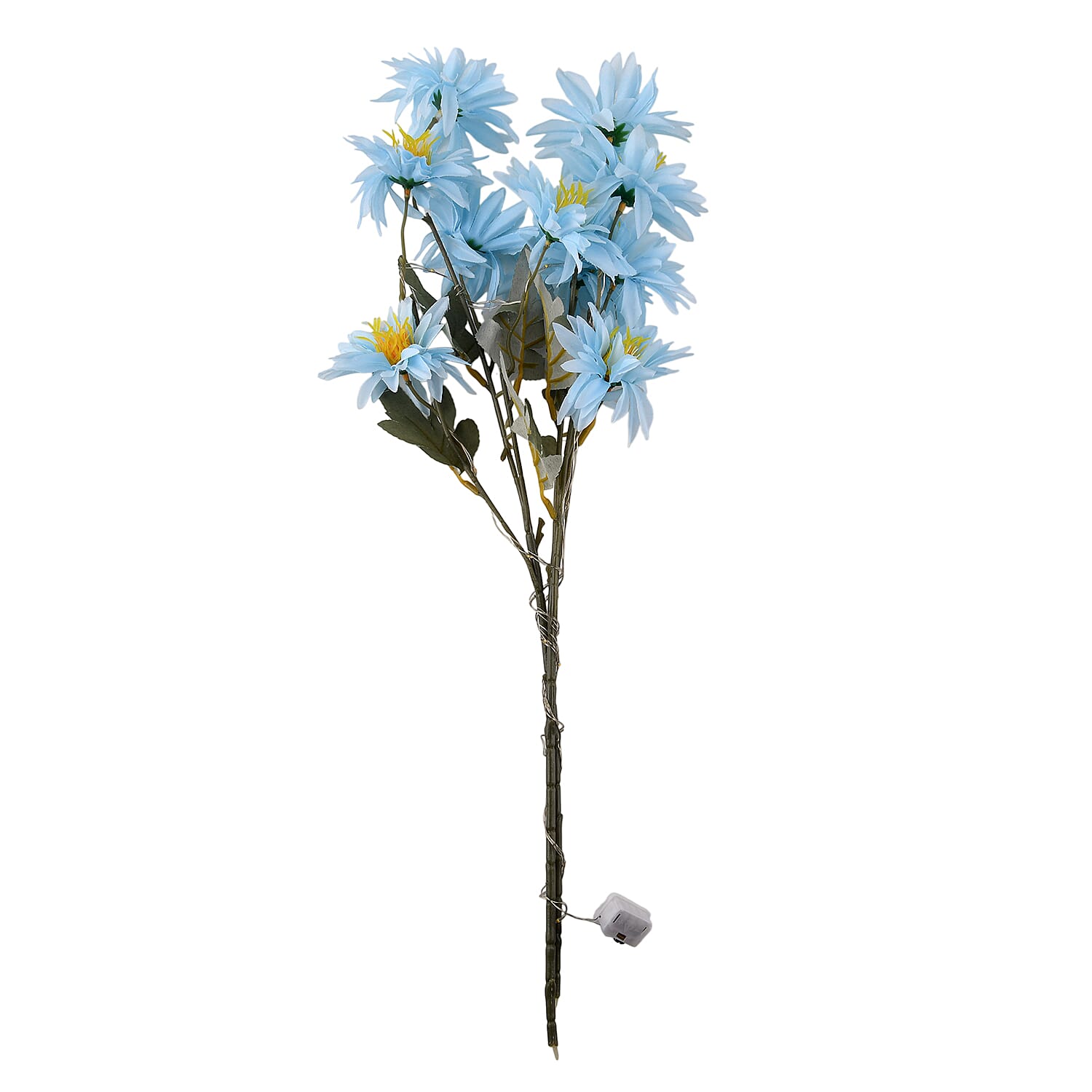 Night Light (Size - One Size) - Blue & Green