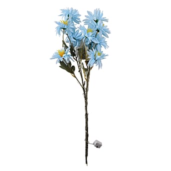 https://tjcuk.sirv.com/Products/84/7/8477107/Night-Light-Size-One-Size-Blue-Green_8477107_2.jpg?w=342&h=342