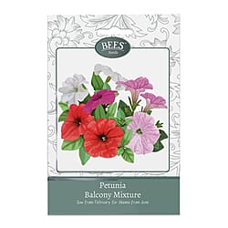 Bees Seeds Petunia Balcony Mix - Purple (Sow by End 2027)