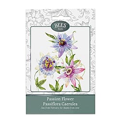 Bees Seeds Petunia Balcony Mix - Purple (Sow by End 2027)