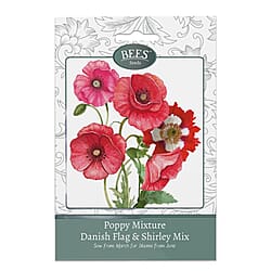 Bees Seeds Petunia Balcony Mix - Purple (Sow by End 2027)