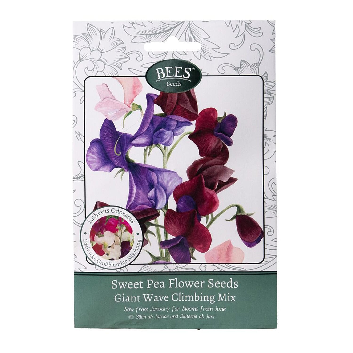BEES Sweet Pea Giant Wave Mixture (Sow by End 2027) - Maroon