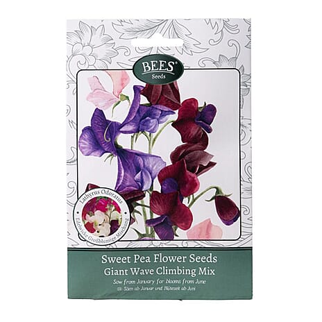 BEES Sweet Pea Giant Wave Mixture (Sow by End 2027) - Maroon