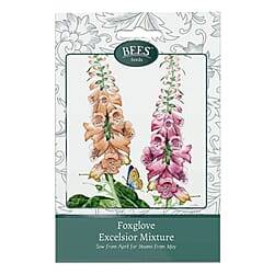 Bees Seeds Petunia Balcony Mix - Purple (Sow by End 2027)