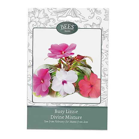 BEES Busy Lizzie Divine Mixture (Sow by End 2027) - Pink and White