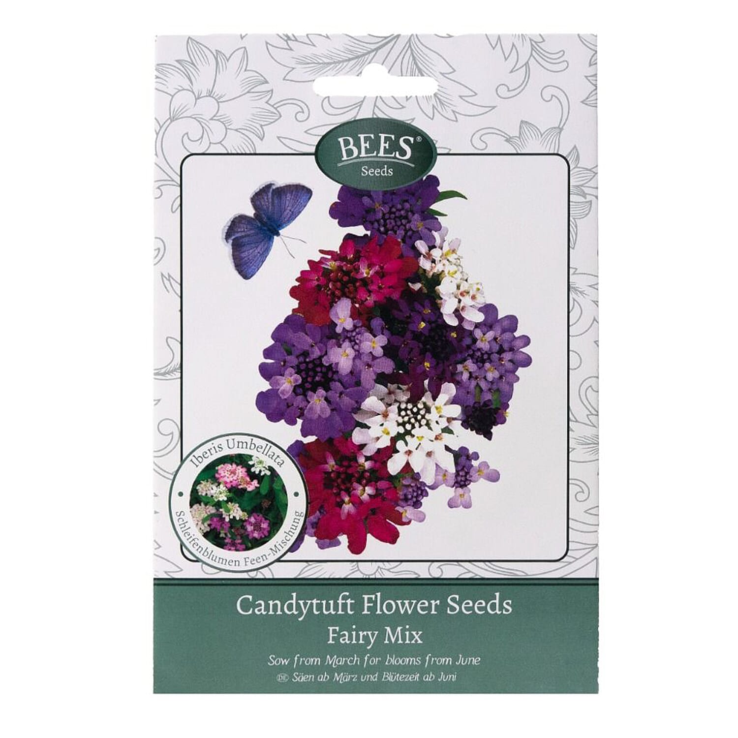 BEES Candytuft Fairy Mixture - Magenta