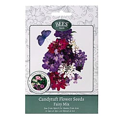 Bees Seeds Petunia Balcony Mix - Purple (Sow by End 2027)