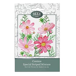 Bees Seeds Petunia Balcony Mix - Purple (Sow by End 2027)