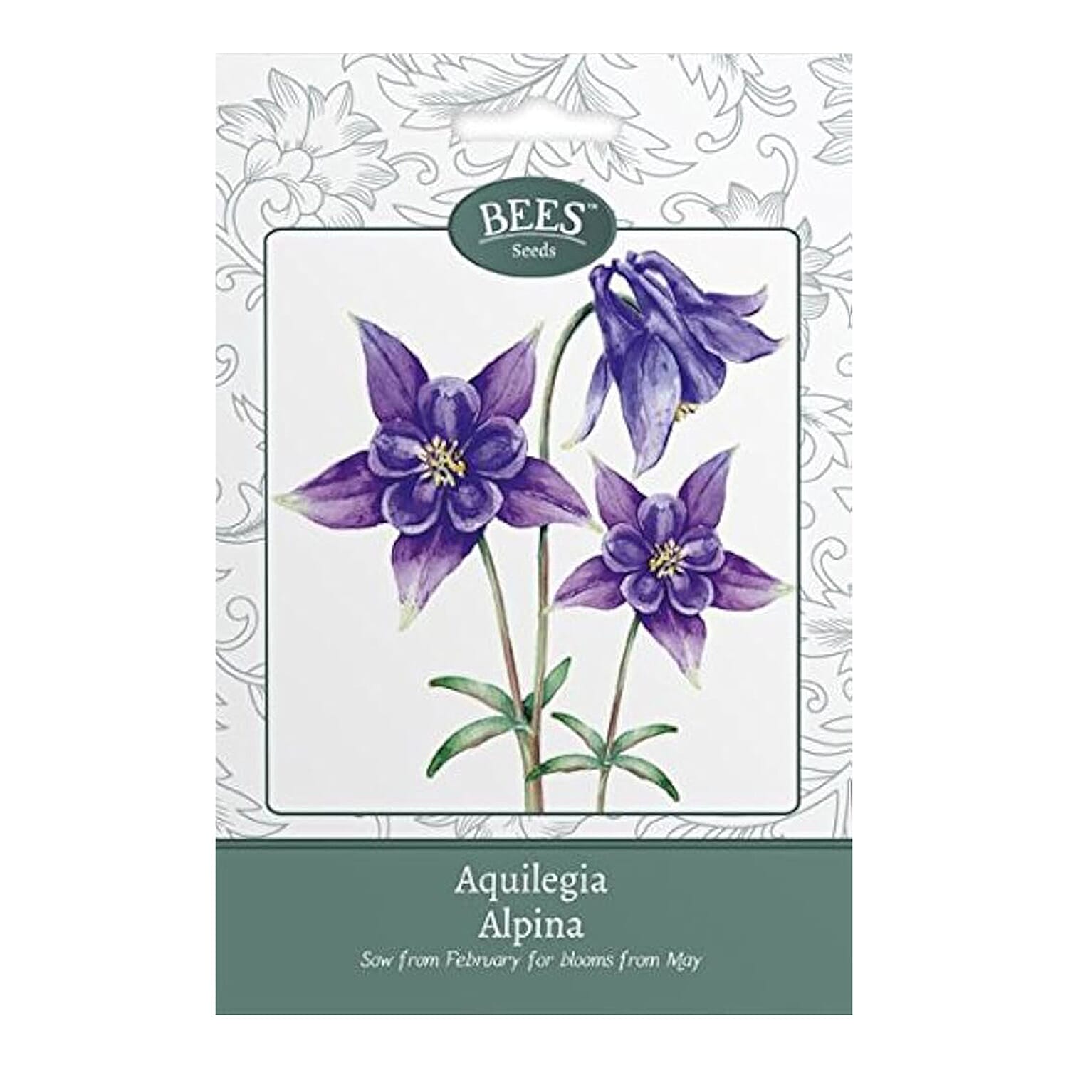 BEES Aquilegia Alpina (Sow by End 2027) - Dark purple