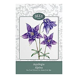 Bees Seeds Petunia Balcony Mix - Purple (Sow by End 2027)