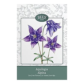 https://tjcuk.sirv.com/Products/84/7/8477412/TJC-Special-Live-Plants-Dark-purple_8477412.jpg?w=342&h=342