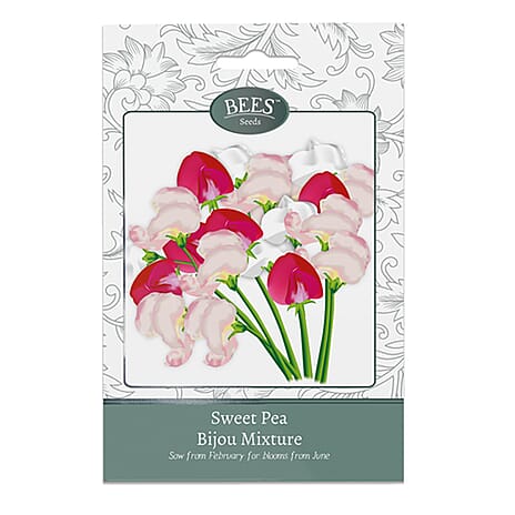 BEES Sweet Pea Dwarf Bijou Mix (Sow by End 2027) - Cherry Red