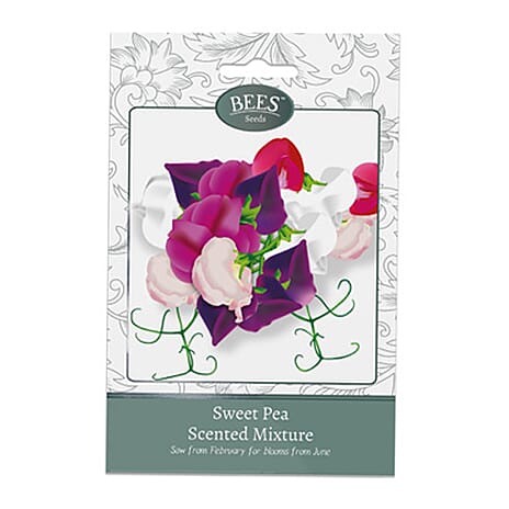 Bees Seeds Sweet Pea Highly Scented (Sow by End 2027) - Red & White