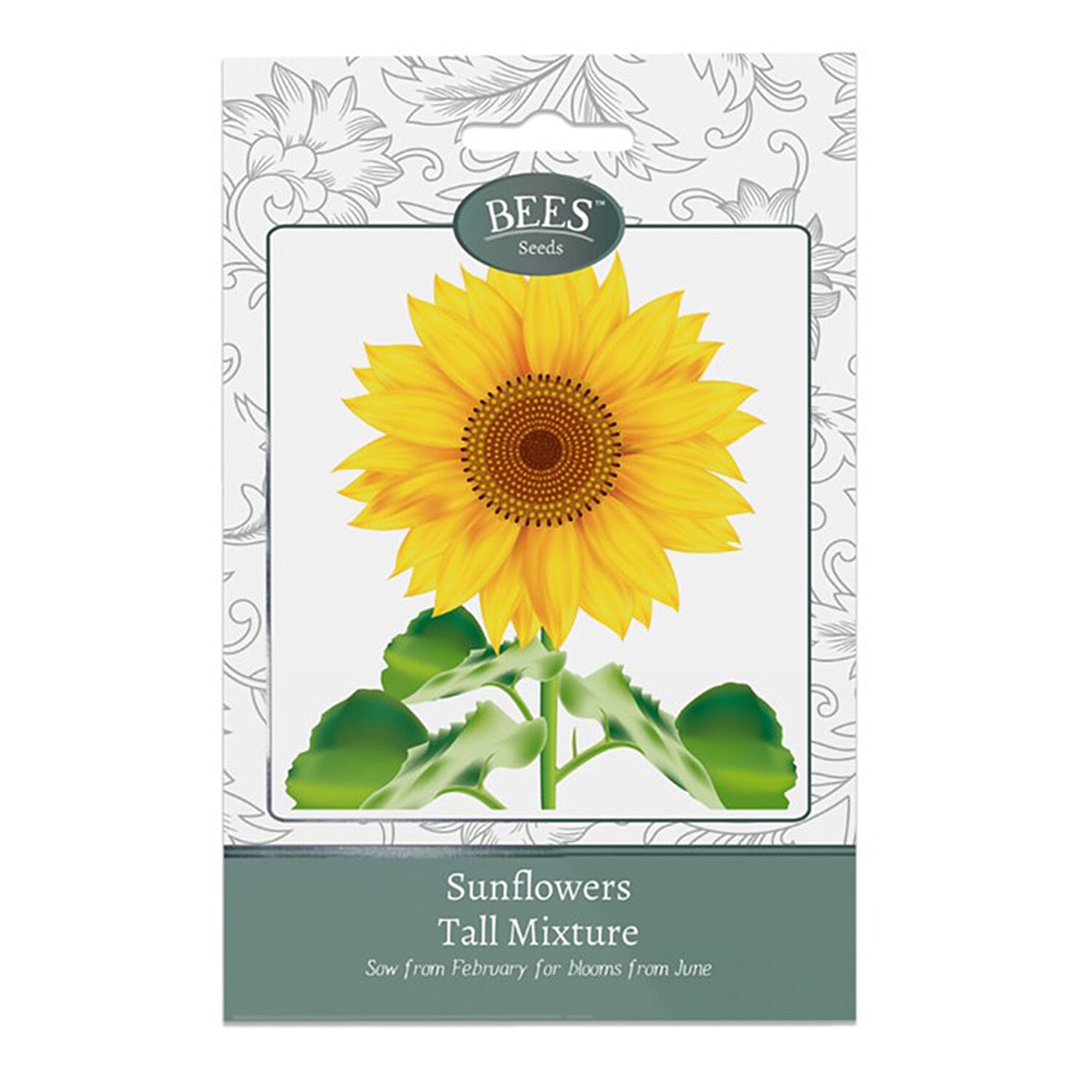 BEES Sunflower Tall Sun Gold (Sow by End 2027) - Yellow Green