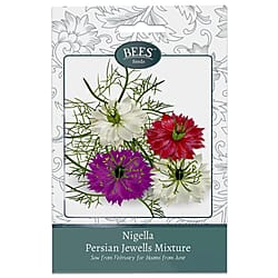 Bees Seeds Petunia Balcony Mix - Purple (Sow by End 2027)