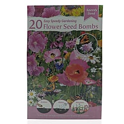 Bees Seeds Petunia Balcony Mix - Purple (Sow by End 2027)
