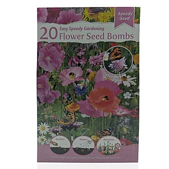 https://tjcuk.sirv.com/Products/84/7/8477437/TJC-Special-Live-Plants-Dark-Green_8477437.jpg?w=342&h=342