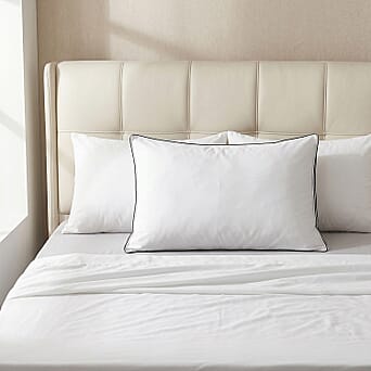 https://tjcuk.sirv.com/Products/84/8/8483079/LIVMORE-Patterned-Pillow-Size-50x1-cm-Silver_8483079_2.jpg?w=342&h=342