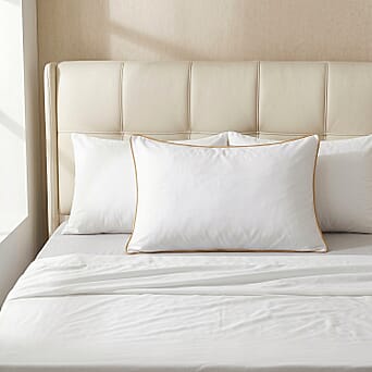 https://tjcuk.sirv.com/Products/84/8/8483080/TJC-Product_8483080_2.jpg?w=342&h=342