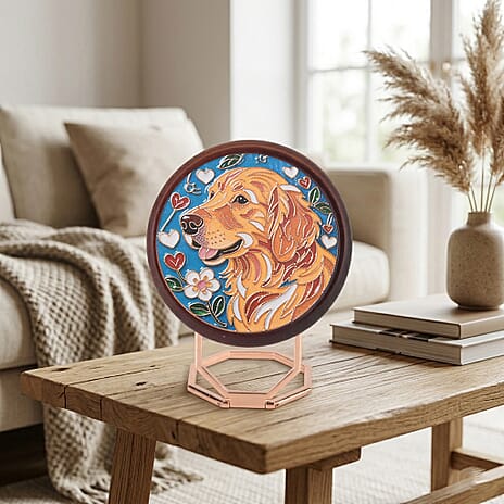 Picture Frame (Size - One Size) - Multi Color - Multicolor