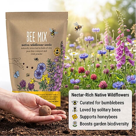 Seedball Bee Mix 100-Ball Wildflower Grab Bag - Yellow