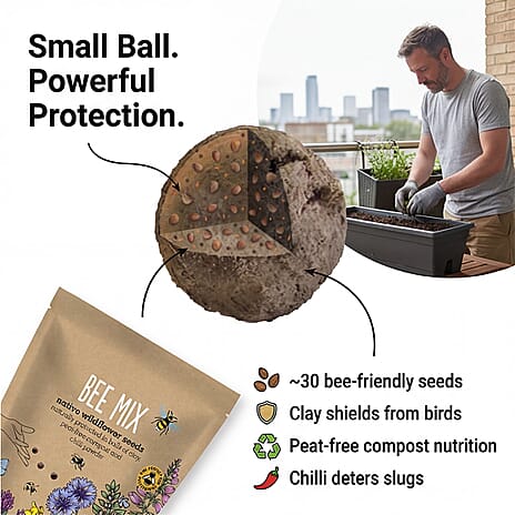 Seedball Bee Mix 100-Ball Wildflower Grab Bag - Yellow