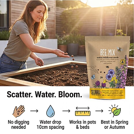 Seedball Bee Mix 100-Ball Wildflower Grab Bag - Yellow