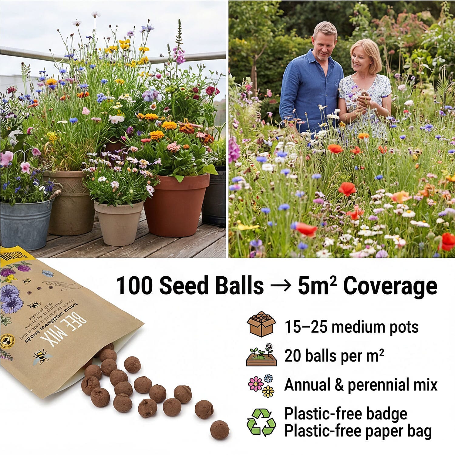 Seedball Bee Mix 100-Ball Wildflower Grab Bag - Yellow