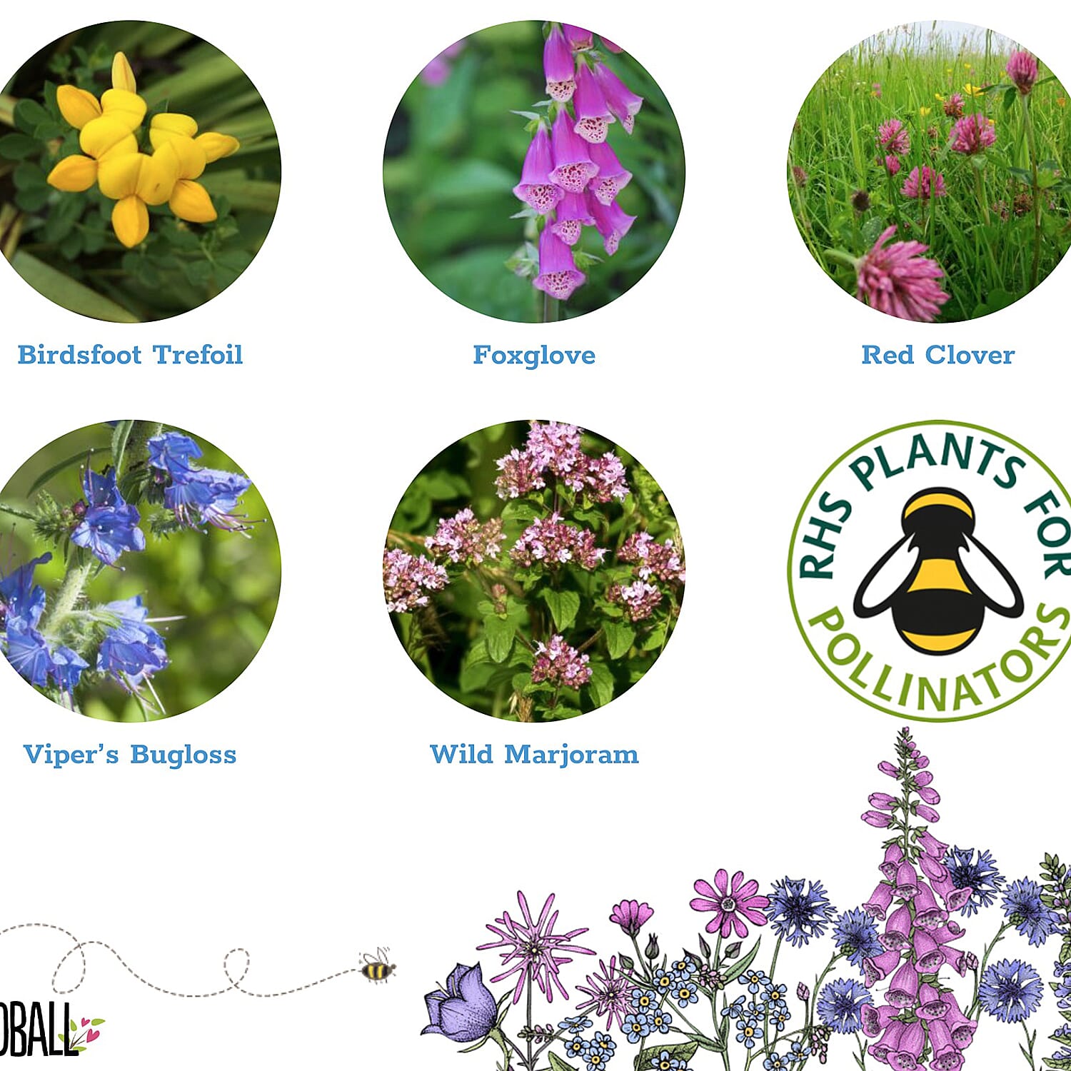 Seedball Bee Mix 100-Ball Wildflower Grab Bag - Yellow