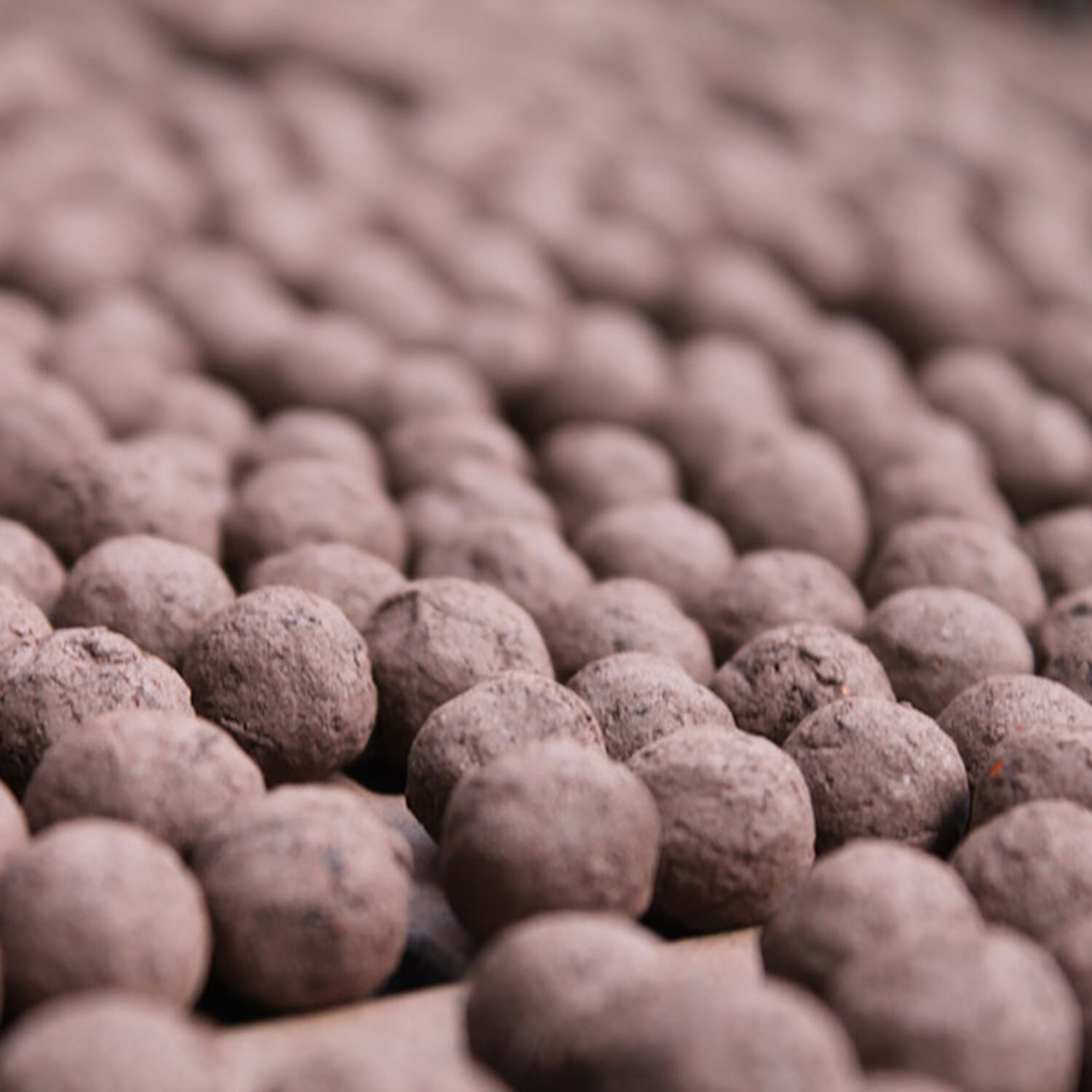 Seedball Bee Mix 100-Ball Wildflower Grab Bag - Yellow