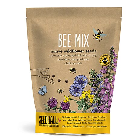 Seedball Bee Mix 100-Ball Wildflower Grab Bag - Yellow