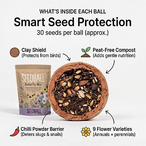 Seedball Butterfly Mix 100-Ball Wildflower Grab Bag - Purple