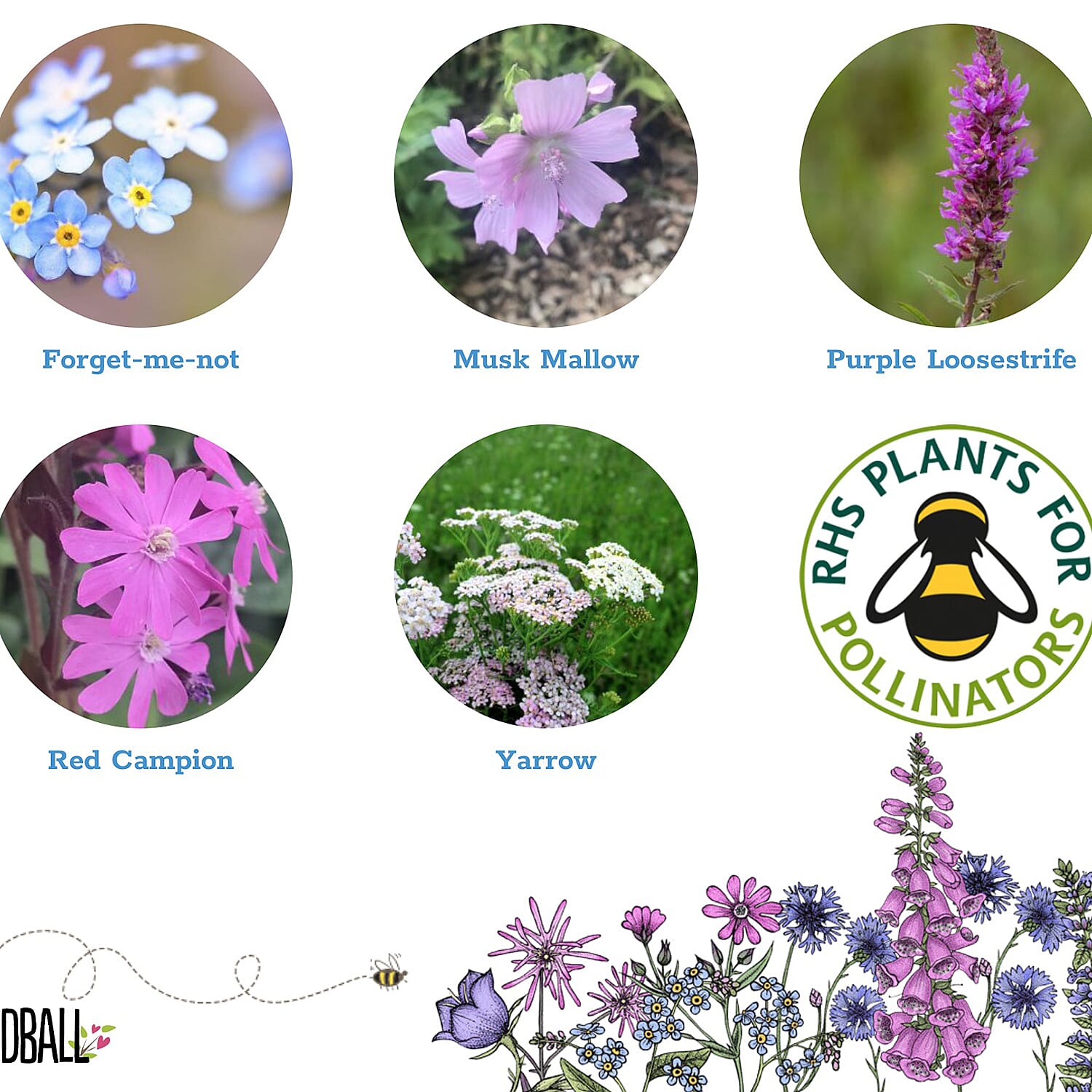 Seedball Butterfly Mix 100-Ball Wildflower Grab Bag - Purple