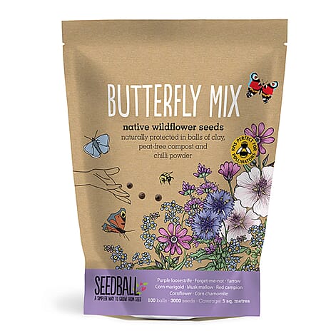 Seedball Butterfly Mix 100-Ball Wildflower Grab Bag - Purple