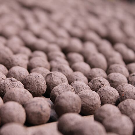 Seedball Butterfly Mix 100-Ball Wildflower Grab Bag - Purple