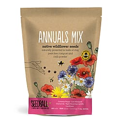 Seedball Wildflower Seed Balls Grab Bag - 100 Balls