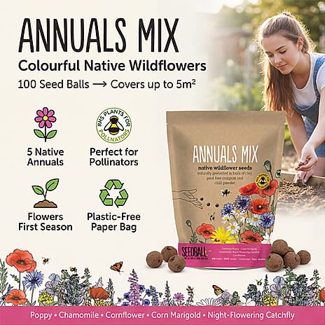Seedball Annuals Mix 100-Ball Wildflower Grab Bag - Pink