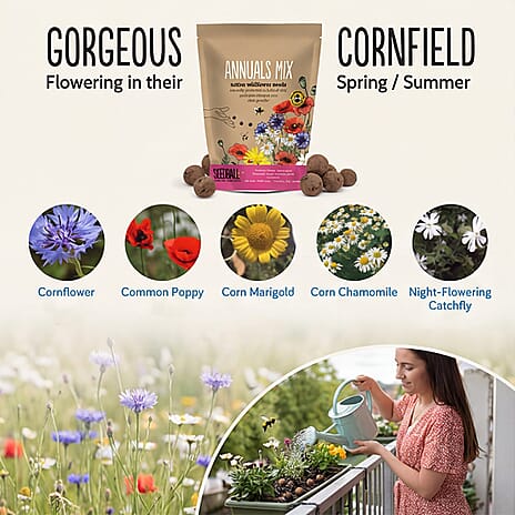 Seedball Annuals Mix 100-Ball Wildflower Grab Bag - Pink