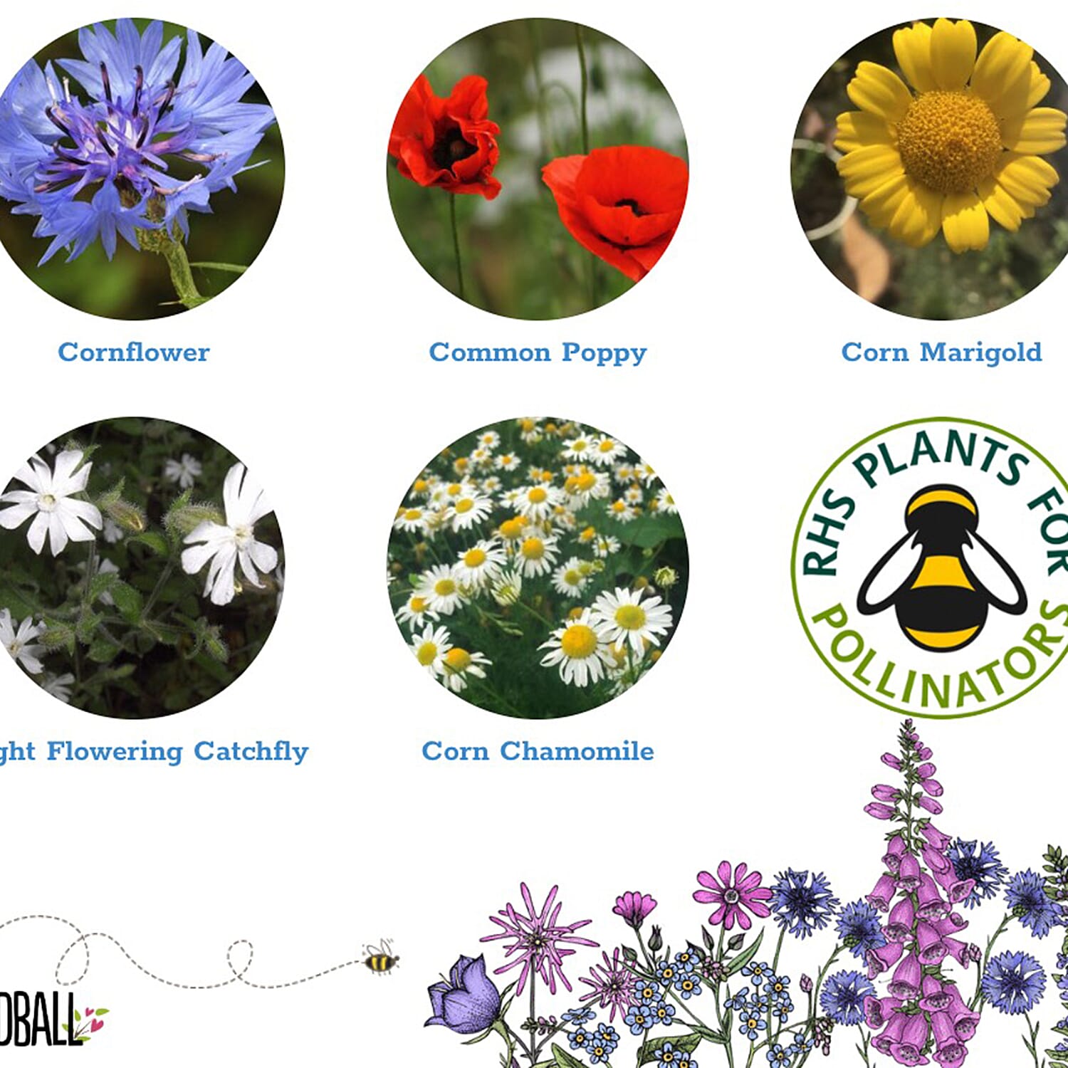 Seedball Annuals Mix 100-Ball Wildflower Grab Bag - Pink