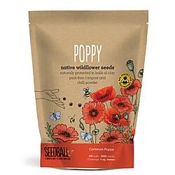 Seedball Wildflower Seed Balls Grab Bag - 100 Balls