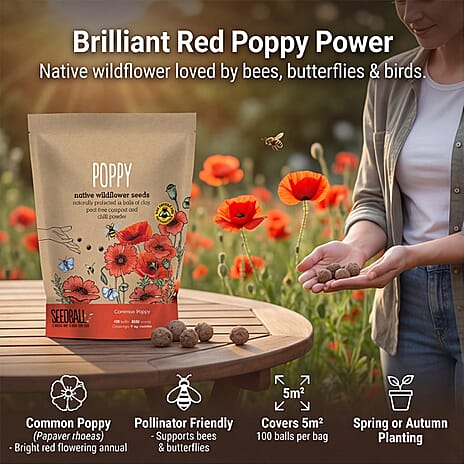 Seedball Poppy Mix 100-Ball Wildflower Grab Bag - Red